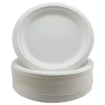 Bagasse Plain Round Plate - Image 2