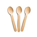 Disposable Spoon