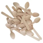 Disposable Teaspoon