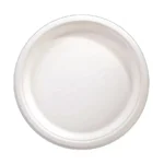 Bagasse 12" Plain Round Plate