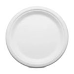 Bagasse 10" Plain Round Plate