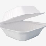 Bagasse 6"x6" Clamshell